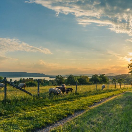 agriculture background header